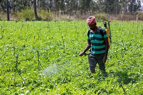 Agriculture & Plantation - Dearo Agri