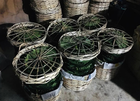 Agriculture Export - Dearo Exports